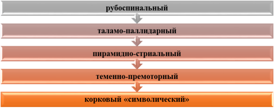 Уровни регуляции движений по Н. А. Бернштейн