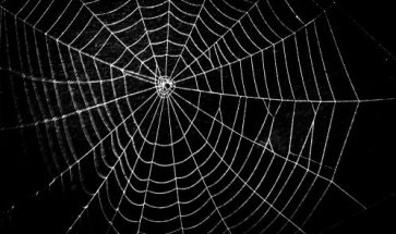 C:\Users\Михаил\Documents\паук-математик\how-to-draw-spiderweb-demo-498x295.jpg