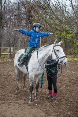 Чистка лошади и выполнение упражнений верхом на лошади