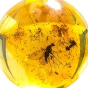 Золотой кулон с инклюзами комара и муравья в натуральном янтаре
