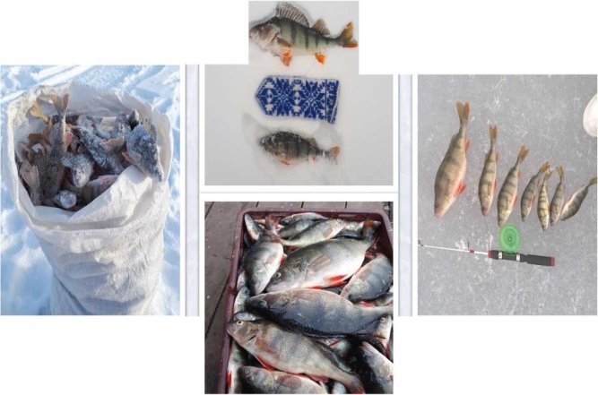 Осенняя и зимняя рыбалки в заливе Харанжино