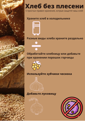 Пять правил хранения хлеба, чтобы защитить его от появления плесени