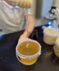 Исследование меда на текучесть и формирование «горки»