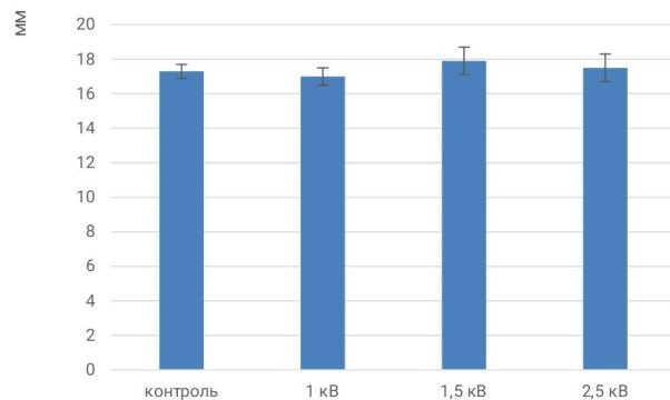 Диаметры зон лизиса Escherichia coli в условиях воздействия амикацина, обработанного ИМП