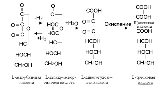 Окисление аскорбиновой кислоты
