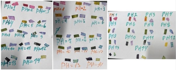 Создание цветовой шкалы для индикаторных бумажек. Для каждого значения рН проверяли покупные бумажки с универсальным индикатором (везде слева) и полученные из краснокочанной капусты (везде справа). Цвета могут отличаться от цветов в реальности