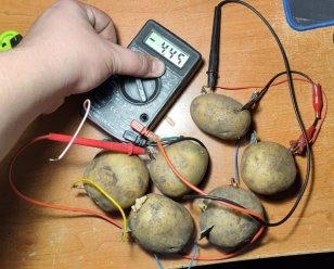 Измерение напряжения «картофельной» батареи и демонстрация ее работы