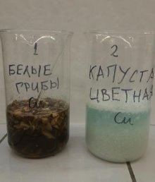 Цветная капуста и грибы в мерных стаканах с растворами катионов после 10 мин контакта растворов с «природными сорбентами»