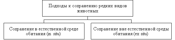 Основные практические подходы к сохранению редких видов животных