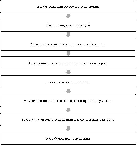 Этапы подготовки видовых стратегий сохранения редких и исчезающих видов животных