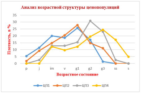 Анализ возрастной структуры ЦП