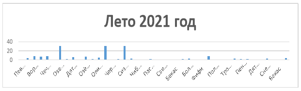 Лето 2021 год