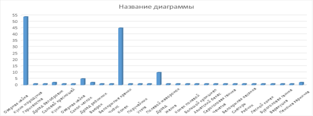 Лето 2023 г.