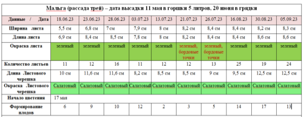 Морфометрический дневник наблюдений саженцев фриго и трей