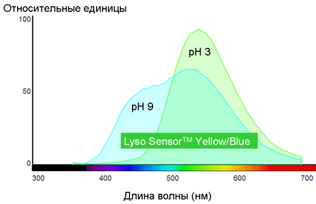 РН-зависимость спектра флуоресценции [3]