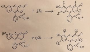 Реакции галогенирования и нейтрализации флуоресцеина