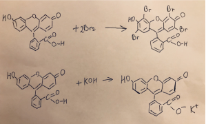 Реакции галогенирования и нейтрализации флуоресцеина