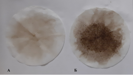 Следы остатков сухого осадка нефти на фильтре: А — после сорбции свежесобранными листьями; Б — контроль (вода с нефтью)