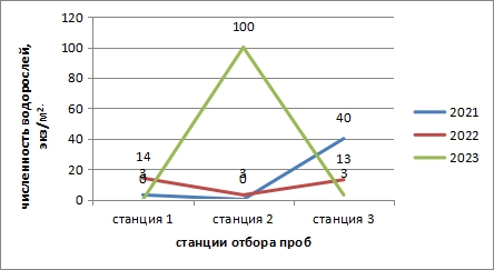 Численность водорослей фитобентоса (экз./м2) р. Байкал 2021, 2022, 2023 гг. по станциям